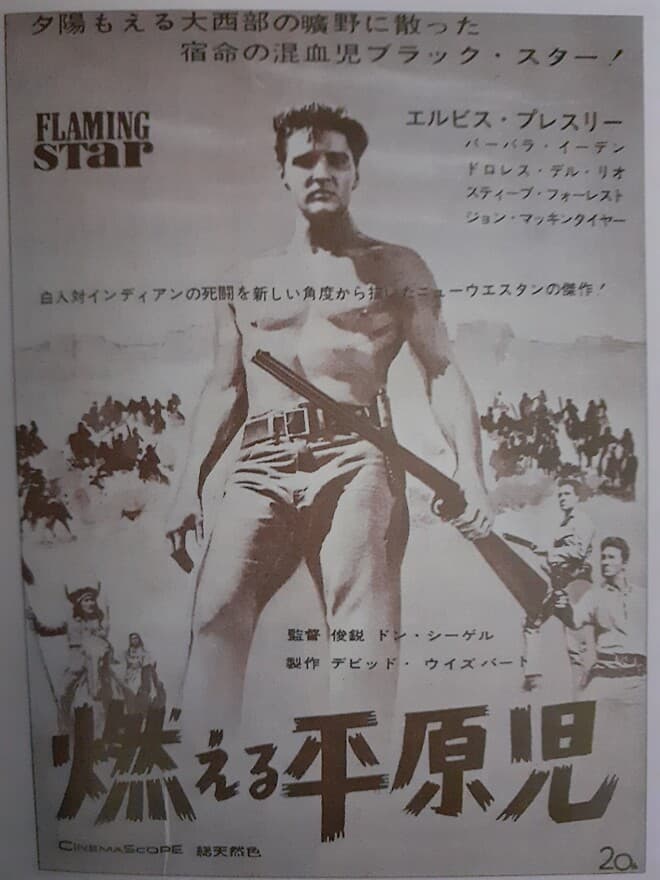불타는 전장 포스터