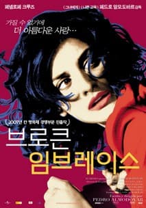 브로큰 임브레이스 포스터