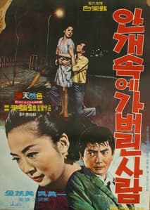 안개속에 가버린 사랑 포스터
