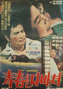 청춘을 다바쳐(일명 보리피리) 포스터