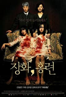 장화, 홍련 포스터