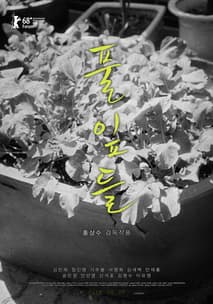 풀잎들 포스터